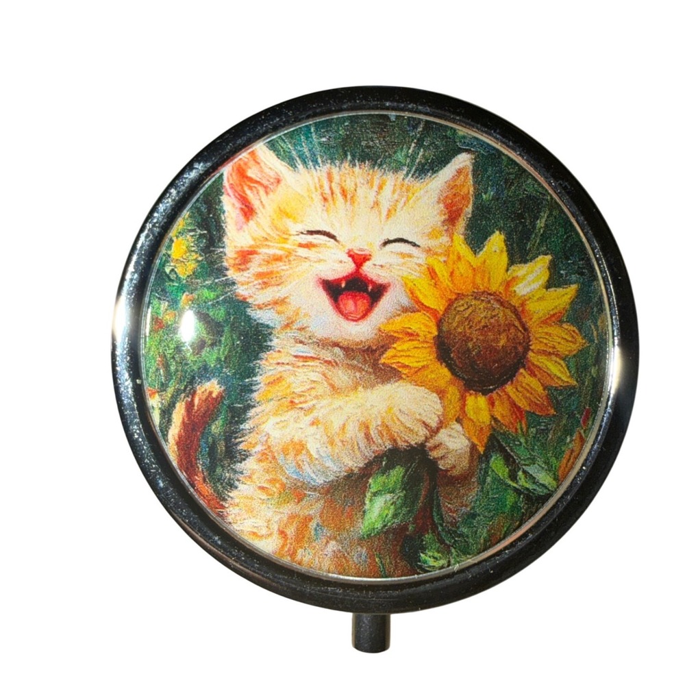 Orange‎ Cat Kitten Tabby with Sunflower Pill box Jewelry case New